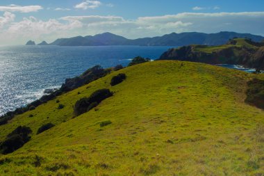 Northland