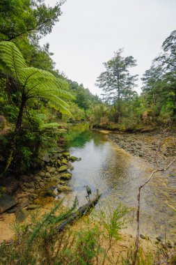 Abel tasman Ulusal Parkı