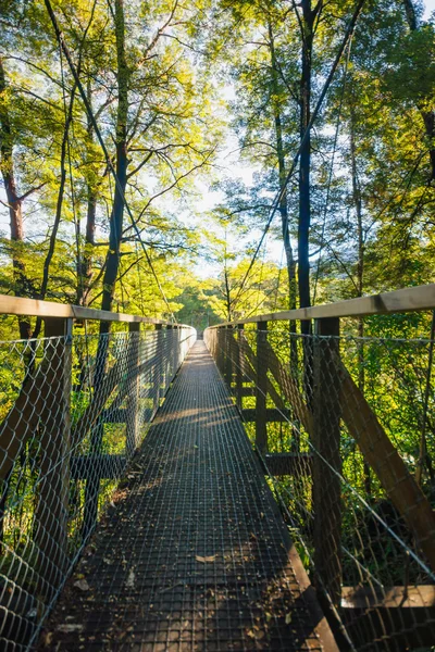 Erhöhter Fußweg — Stockfoto