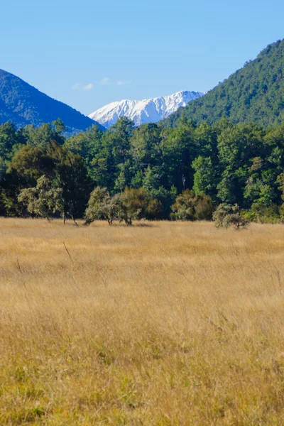 Lewis Pass — Stockfoto