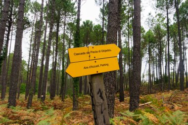 Art arda sıralı de Piscia di Ghjaddu