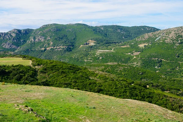 Cap Corse Landscape — Stock Photo, Image