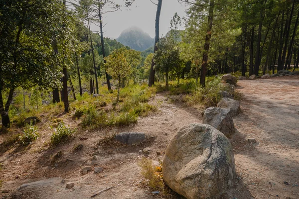 Route de Bavella — Stock Photo, Image