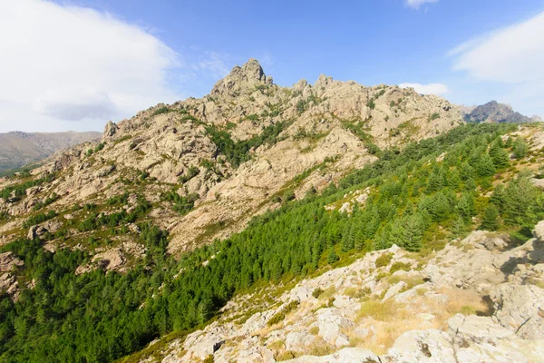 Col. de Bavella — Foto Stock