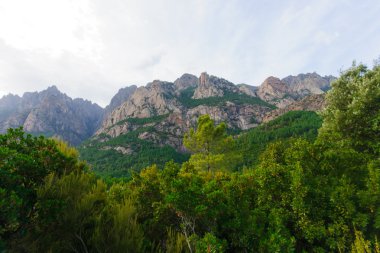 Route de Bavella