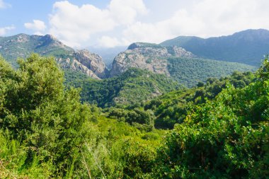 Prunelli Gorge
