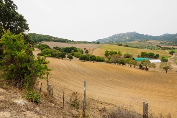 Corsican country side — Stock Photo, Image