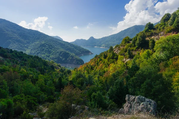 Prunelli Gorge — Stock Fotó