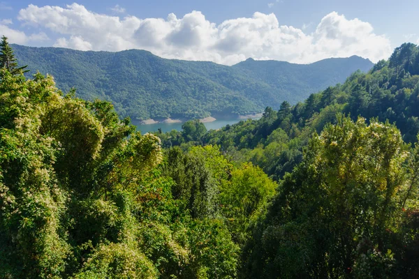 Prunelli Gorge — Stock Fotó