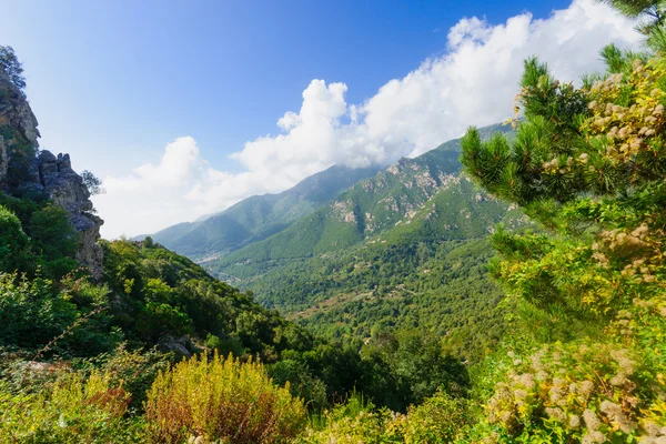 Prunelli-Schlucht — Stockfoto