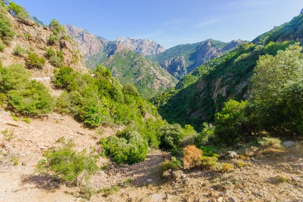 Gorges de Spelunca — Stock Photo, Image