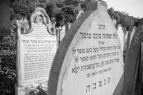 Old Jewish cemetery, Bratislava — Stock Photo, Image