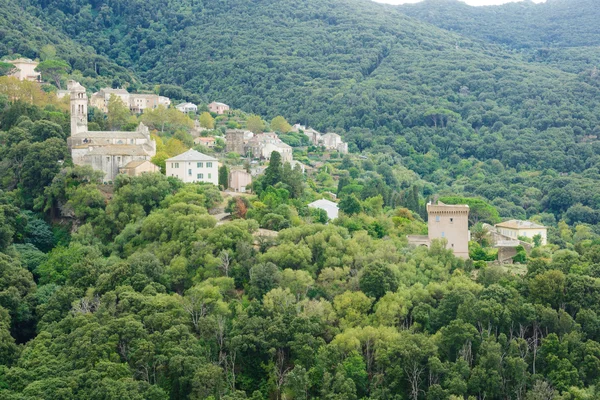 Cap Corse Landskab - Stock-foto