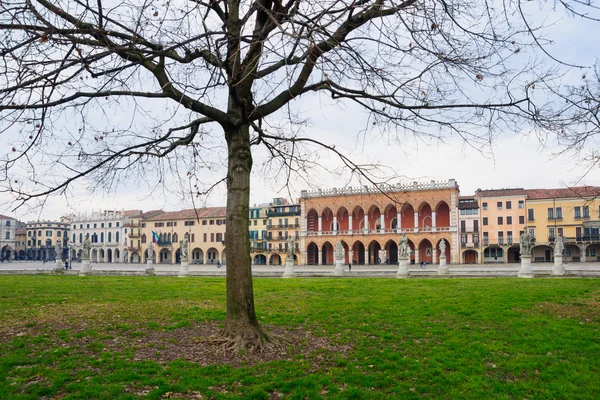 Plaza Prato della Valle, Padua — Foto de Stock