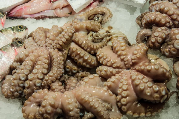 Mercado de pescado, Venecia —  Fotos de Stock