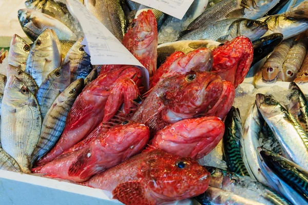 Fish market, Venice — Stock Photo, Image