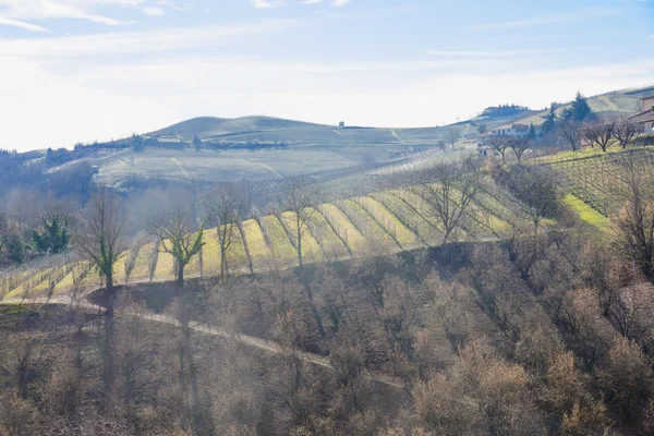 Langhe... — Fotografia de Stock