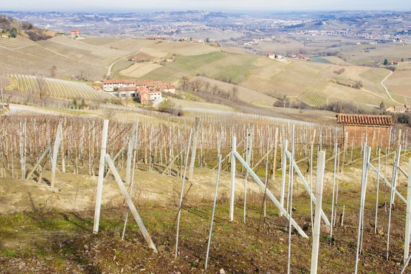 Langhe... — Fotografia de Stock