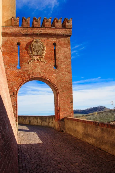 Barolo — Stock Photo, Image