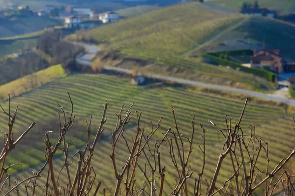 I langhe — Stockfoto