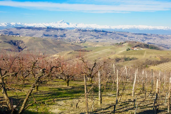 Langhe... — Fotografia de Stock