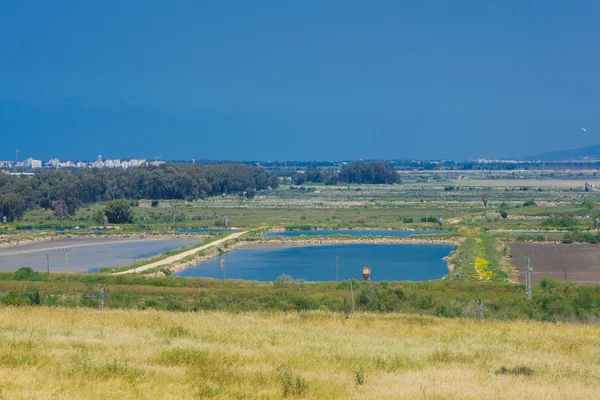 Кантрисайд, Tel Afek — стоковое фото