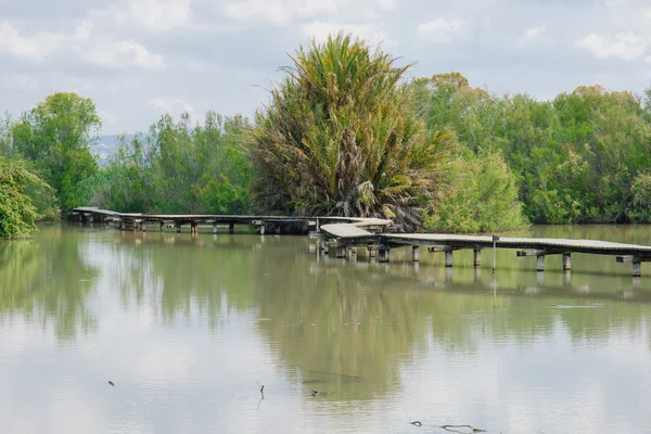 Sendero Elevado, En Afek — Foto de Stock