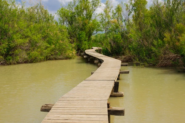 Verhoogde wandelpad, nl Afek — Stockfoto