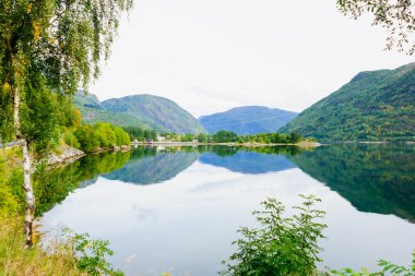 Norveç görünümü