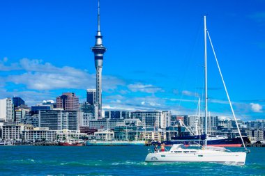 Auckland manzarası