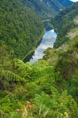 Whanganui Nehri