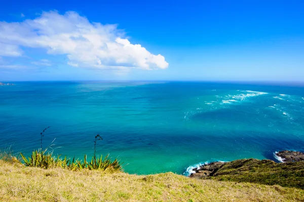 Cape Reinga — Stock Photo, Image