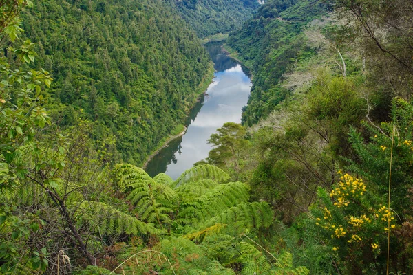 Whanganui folyó — Stock Fotó