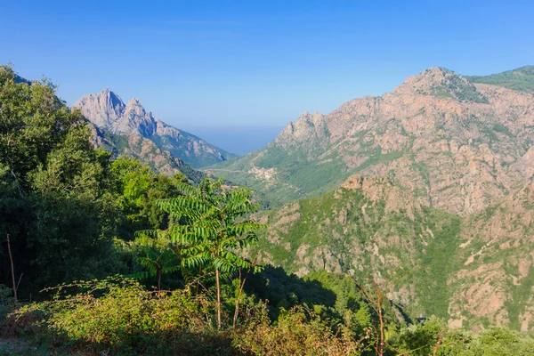 Gorges de Spelunca — Stock Photo, Image