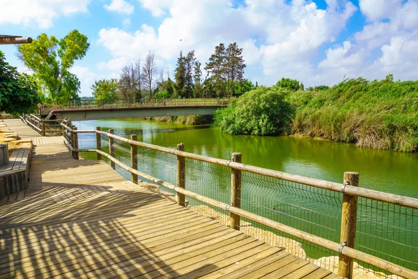 Nahal Alexander natuurreservaat — Stockfoto