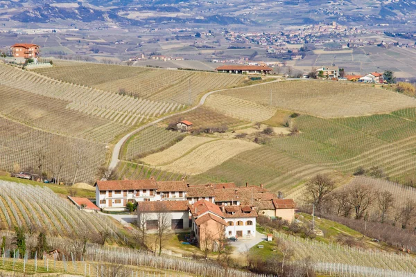 Langhe... — Fotografia de Stock