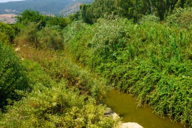 Kishon Park (Haamakim Parkı)