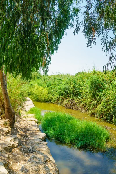 Kishon Park (parco HaAmakim ) — Foto Stock