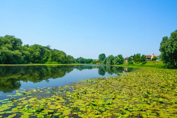 Fiume Sava, Croazia — Foto Stock