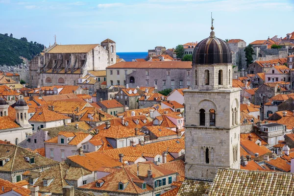 Franciscaanse Monastety, Dubrovnik — Stockfoto