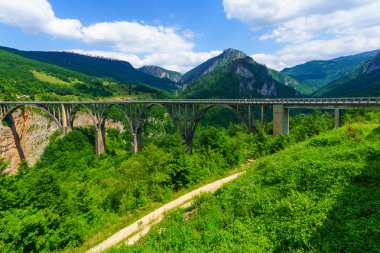 Durdevica Tara Köprüsü