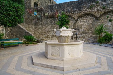 Dallı ağaç kare, Kotor