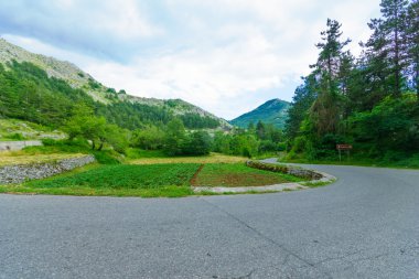 Lovcen dağın bir yolda