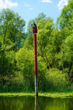 Karabatak, İşkodra Gölü