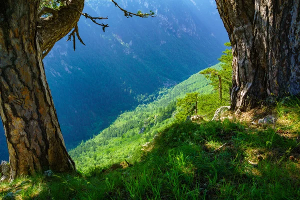 Durmitor a Susica Canyon — Stock fotografie