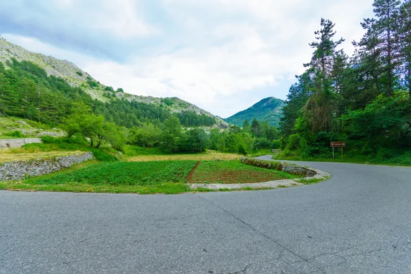 Una strada sulla montagna di Lovcen — Foto Stock