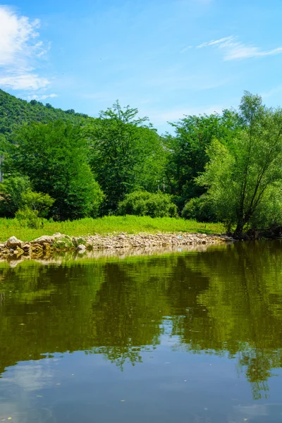 Fiume Crnojevica, Lago di Skadar — Foto Stock