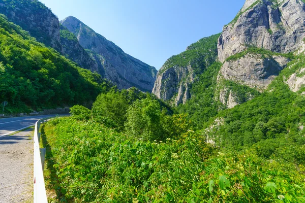 Morača Canyon — Stock fotografie