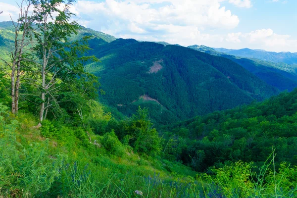 Valle di Moraca — Foto Stock