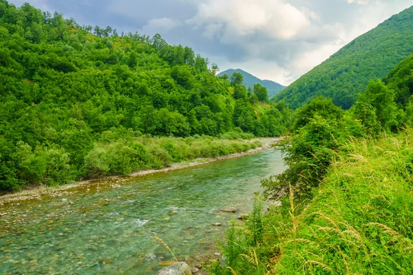 Пейзаж реки Тары возле Мойковаца — стоковое фото